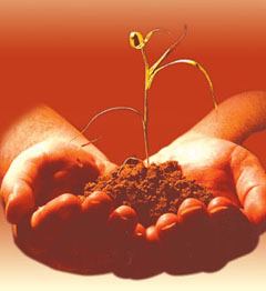 Wealth Replacement with Irrevocable Life Insurance Trusts