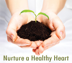 Nurture a Healthy Heart