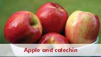 Apple and catechin