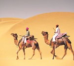 india camel safari