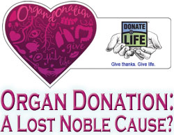 Organ Donation: A Lost Noble Cause