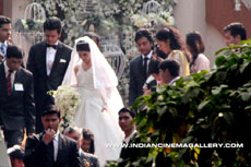 Riteish Weds Genelia