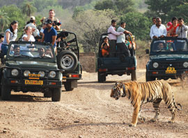 Wildlife Sanctuaries of India