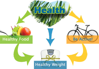 health diagram