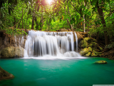 Rainforest waterfall Wallpaper