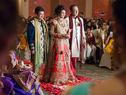 Ritisha Weds Abhishek