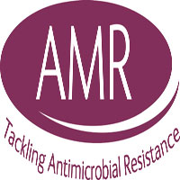 AMR Logo Rgb1