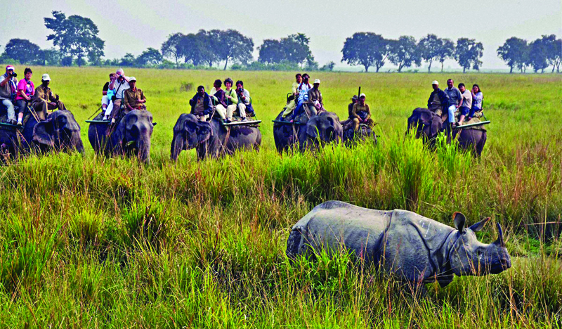 Tourists at Kaziranga National Park