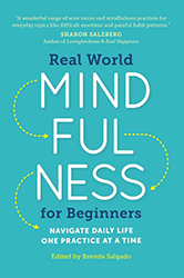 Real World Mindfulness for Beginners: Navigate Daily Life One Practice at a Time