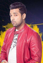 Puneesh Sharma named as new captain in Big Boss 11