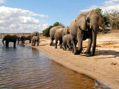 Chobe National Park in Botswana