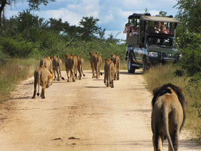 luxury safari in Africa 