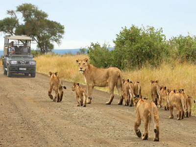 Kruger National Park in South Africa