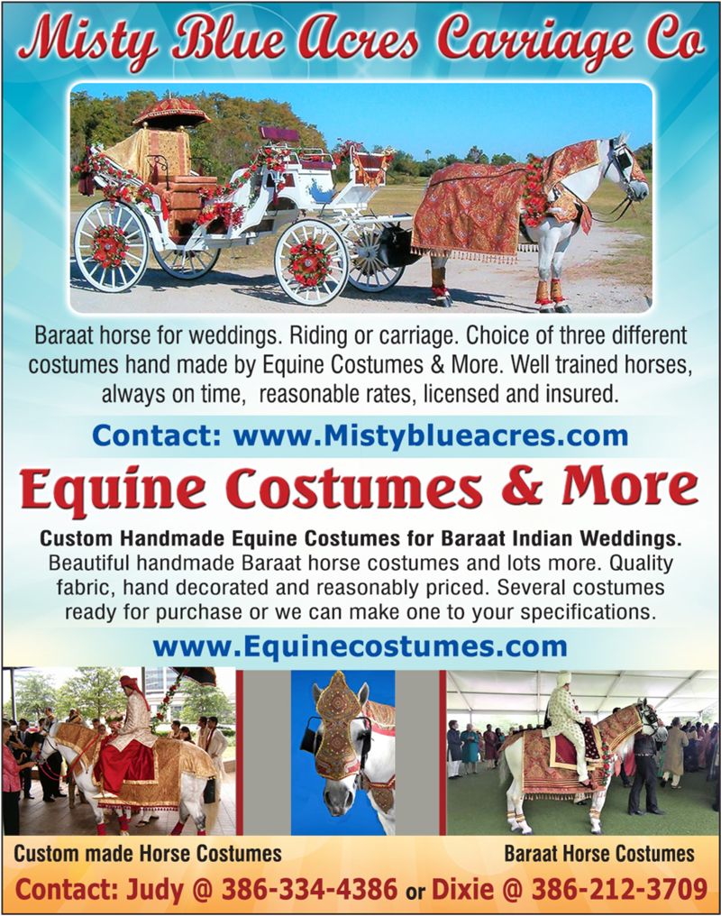 Equine Costumes & More