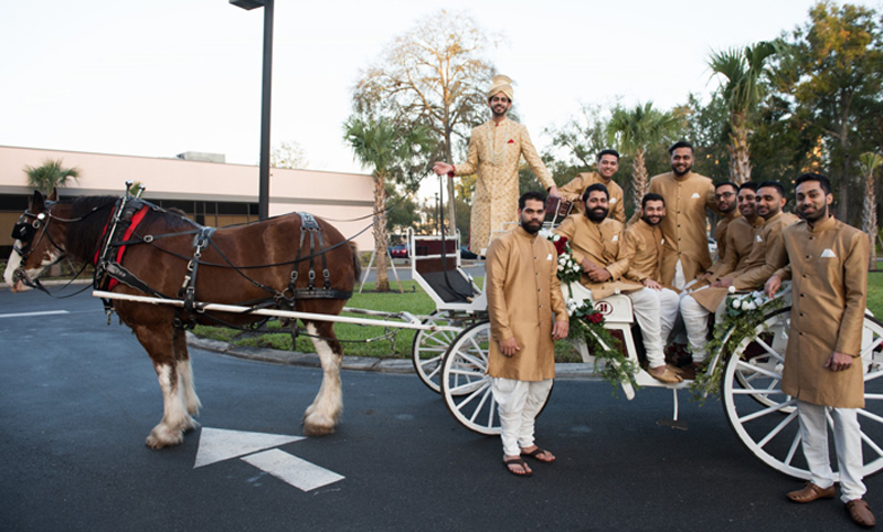 Indina Groom with Indian Groomsmen on Horse Carriage