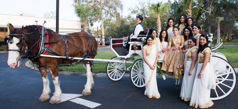 Indian Bride with Bridesmaids in Bagi Capture