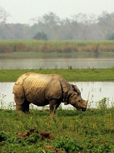 Kaziranga National Park (1985)