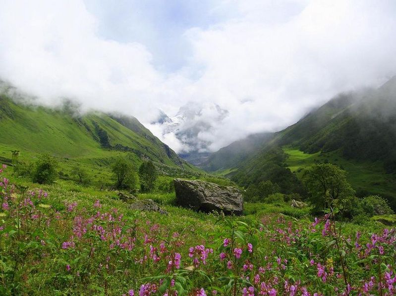 Nanda Devi and Valley of Flowers National Parks (1988,2005)