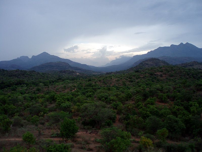 Western Ghats (2012)