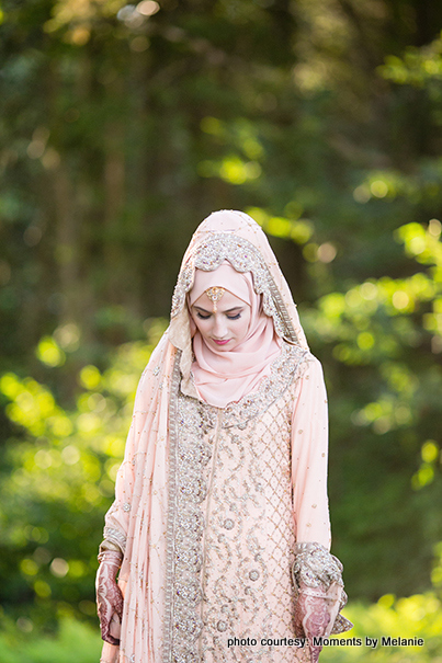 Gorgeous Bride's Portrait picture