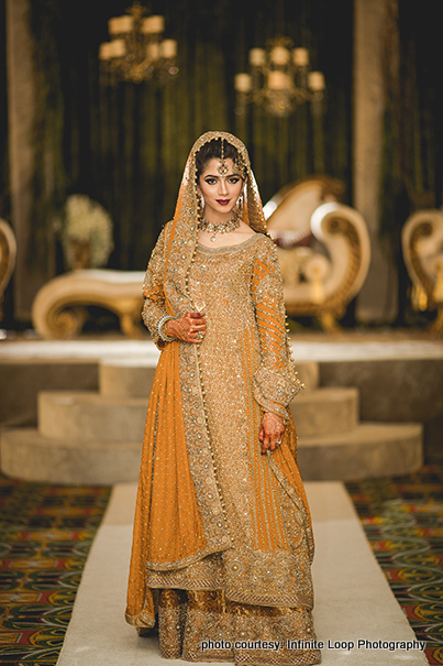 Dazzling Portrait of the Indian Bride