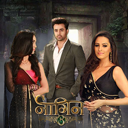 Color TV’s Naagin 3 Might Go Off Air Soon