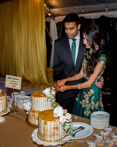 Couple cutting the wedding cake