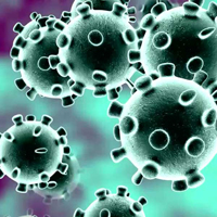 s Coronavirus threat delays Sooryavanshi and 83