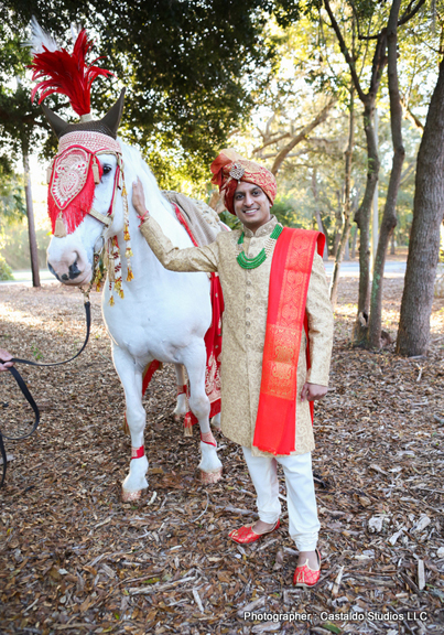 Indian Groom Ready For Baraat 