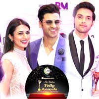 The Indian Telly Awards 2019 2 1