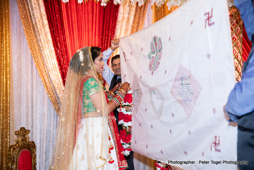 Indian Wedding Saris