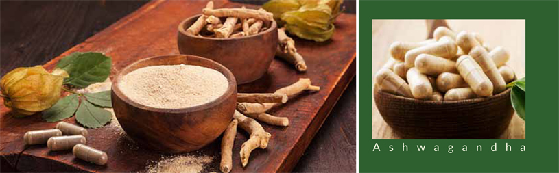 Ashwagandha: Is It For You?