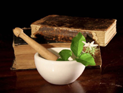 When people think of Ayurveda, one of the first herbs that comes to mind is Ashwagandha