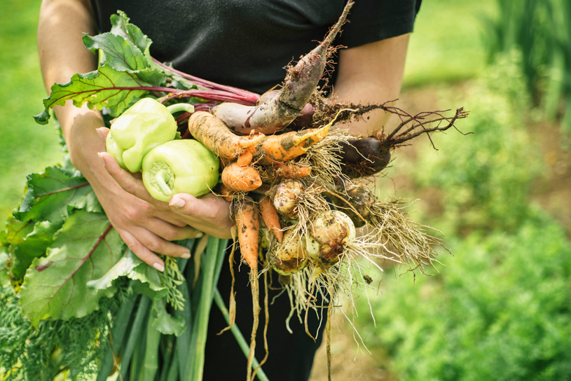 To Buy Organic or Not?