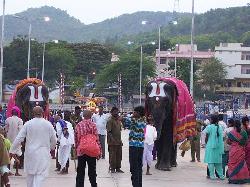 Tirumala Function