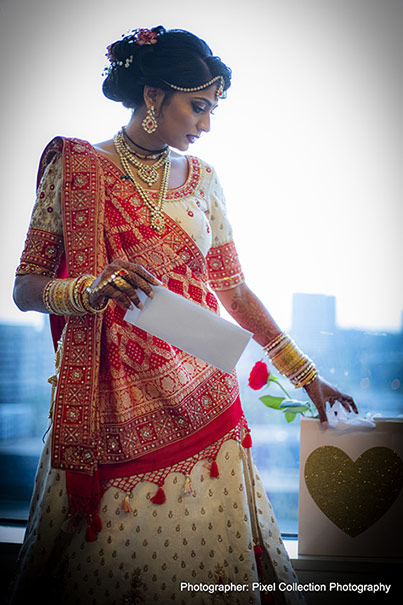 Adorable Indian Bride to be