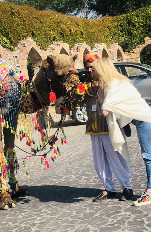 Camel Ride at Jaipur