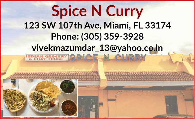 Spice N Curry