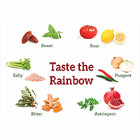 Taste The Rainbow Article Ftr Img