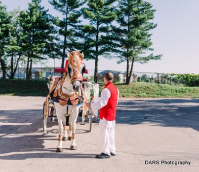 Lovely horse carriage by Blue Ribbon Carriages