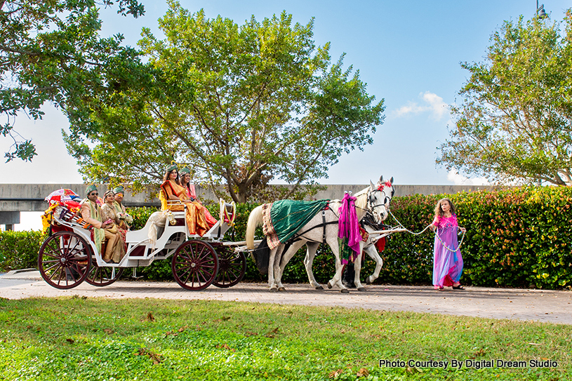 Horse Provided by horse-drawn carriage