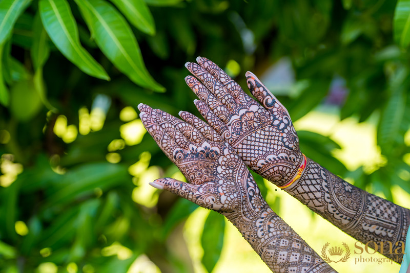 Indian Wedding Henna