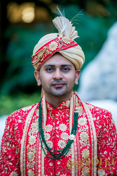 Handsome Indian groom