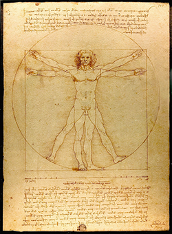 What is a human body? This may seem a facetious question, but the answer will be very different according to which medical tradition you consult.