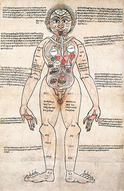 Competing medical systems