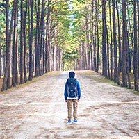 walk-in-forest-ftr-img