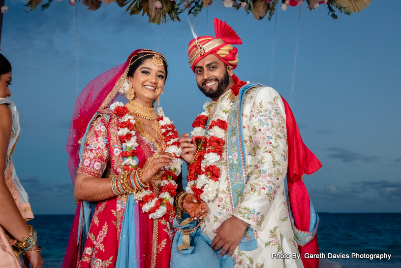 Indian wedding horse provided by Drums in Paradise