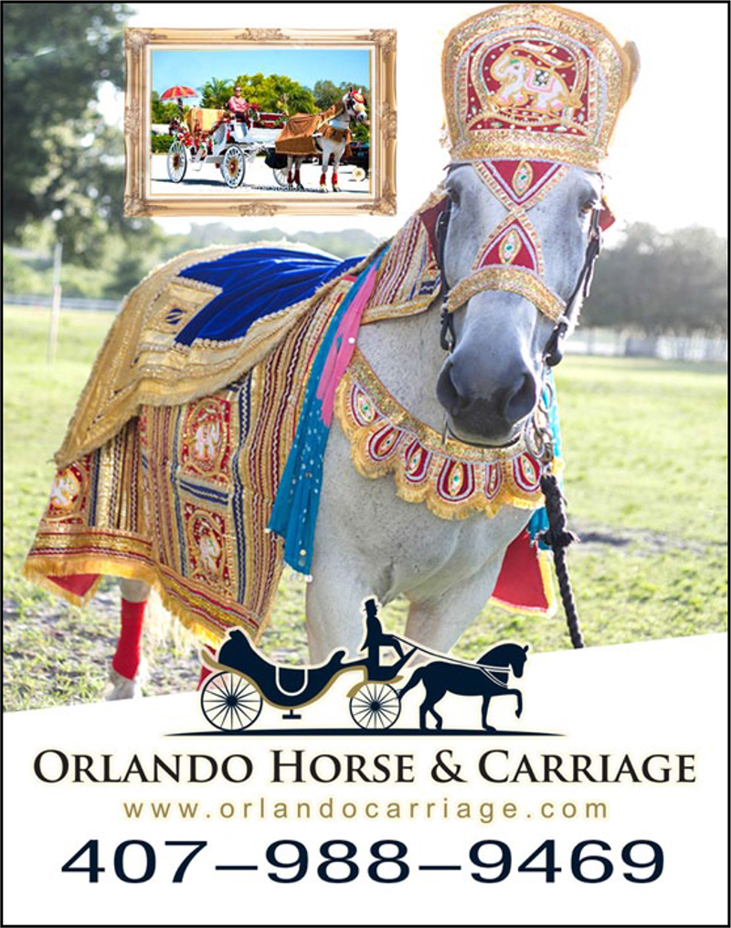 Orlando Horse & Carriage