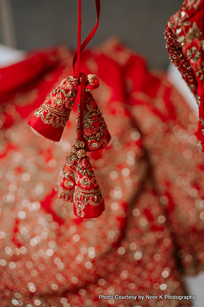 Indian Bride wedding costume