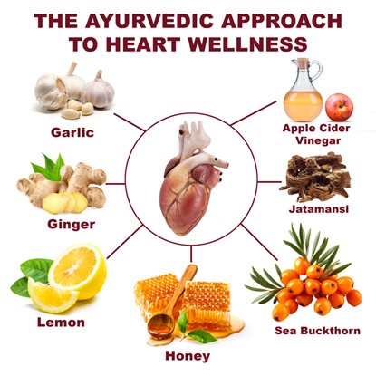 Ayurvedic Approach to Heart Wellness